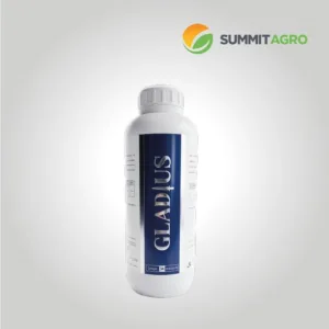 GLADIUS 10 SC