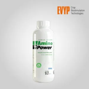 AMINO POWER