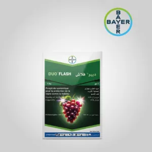 ديو فلاش